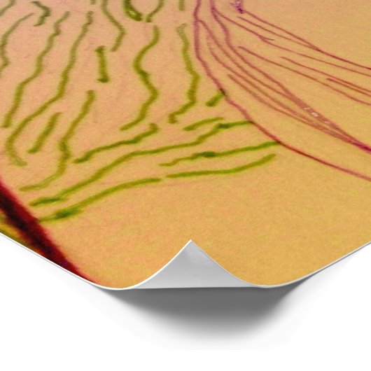 アテナ ポスター (角)