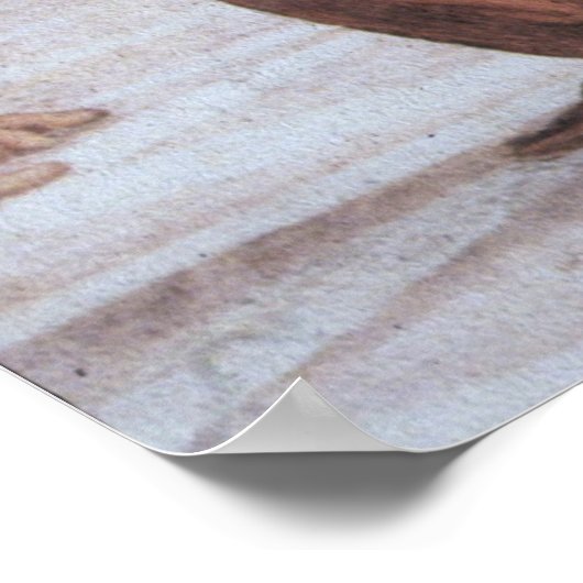 アテネの学校(詳細 – プラトン&アリストテレス) ポスター (角)