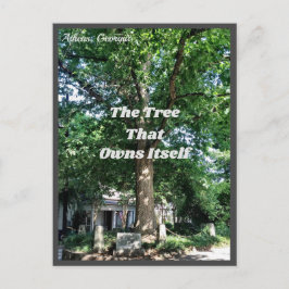 アテネUSAポストカードGA ポストカード