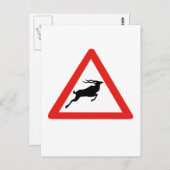 アテンションクドゥス、交通標識、南アフリカ ポストカード (正面/裏面)