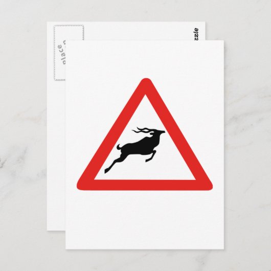 アテンションクドゥス、交通標識、南アフリカ ポストカード (正面/裏面)