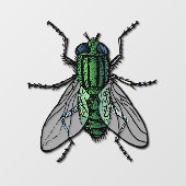 アテンションゲッターフライ ウィンドウサイン (シート)