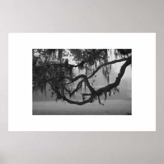 アディスハウス ポスター (正面)