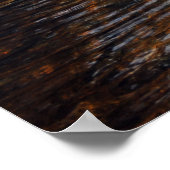 アディロンダックのオセーブル川。08 092 ポスター (角)