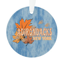 アディロンダックの秋の紅葉Bear Tr