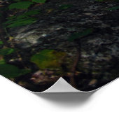 アディロンダックスにオセーブル川。プリント120 ポスター (角)