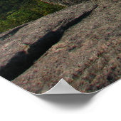 アディロンダックスのカスケードマウンテン ポスター (角)