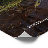 アディロンダックスのトゥッパー湖プリント08 240 ポスター (角)