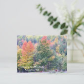 アディロンダックスの秋 ポストカード (スタンド正面)