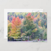 アディロンダックスの秋 ポストカード (正面/裏面)