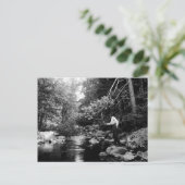 アディロンダックフライ釣り ポストカード (スタンド正面)