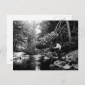 アディロンダックフライ釣り ポストカード (正面/裏面)