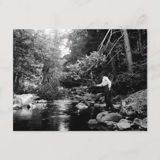 アディロンダックフライ釣り ポストカード (正面)