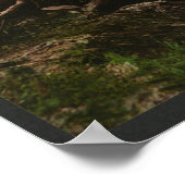 アディロンダック渓流でカヌー ポスター (角)