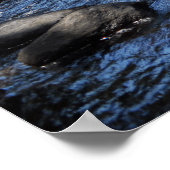 アディロンドックのラケット川プリント08 258 ポスター (角)