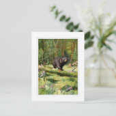 アディロンドックブラックベア ポストカード (スタンド正面)