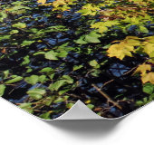 アディロンドックプリント08 229 ポスター (角)