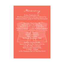 アディロンドバックチェアコーラルインテネラーリー