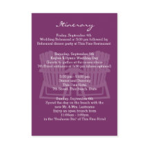 アディロンドバックチェアプラム入り口