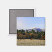 アディロンドバックファーム磁石 マグネット (正面/裏面)