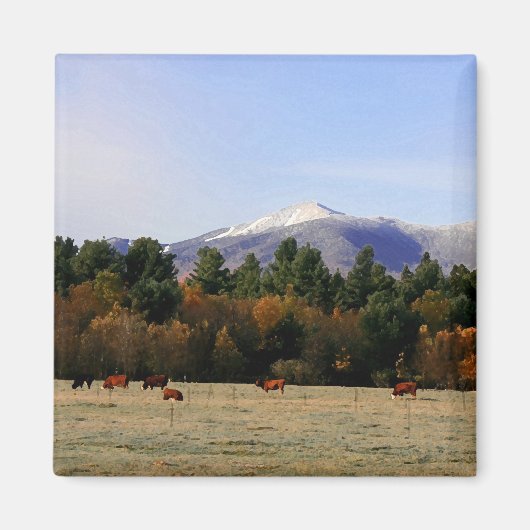 アディロンドバックファーム磁石 マグネット (正面)