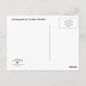 アディロンドラックレイクポストカード ポストカード (裏面)