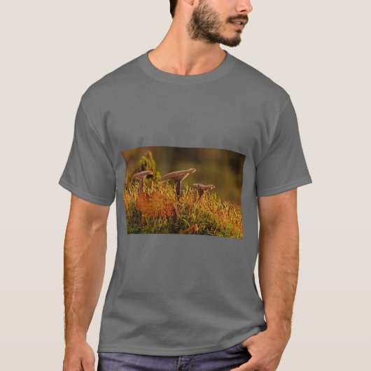 アデゲイン 抽象的な自然Tシャツ Tシャツ (正面)