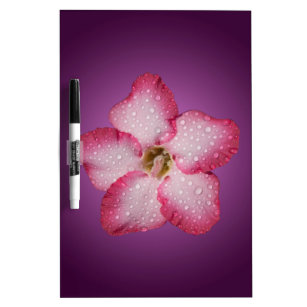 アデニムピンクの花フローラグラジエントバイオレット ホワイトボード