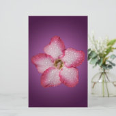 アデニムピンクの花フローラグラジエントバイオレット 便箋 (スタンド正面)