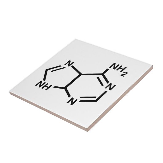 アデニン タイル (側面)