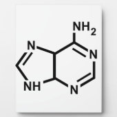アデニン フォトプラーク (正面)