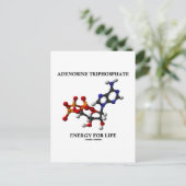 アデノシン三リン酸(Atp)生命エネルギー ポストカード (スタンド正面)