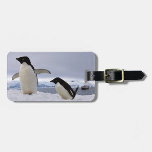 アデリーペンギンのつがい アンタークティカ ラゲッジタグ