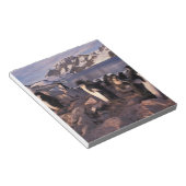 アデリーペンギン南極 ノートパッド (アングル)