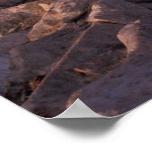 アデリーペンギン南極 ポスター (角)