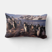 アデリーペンギン南極 ランバークッション (裏面)