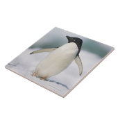 アデリーペンギン、クローズアップ タイル (側面)