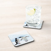 アデリーペンギン コースター (右側)