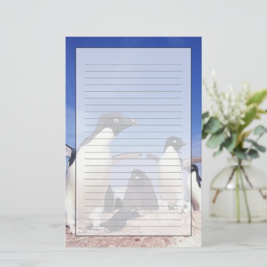 アデリーペンギン・ピゴスケリス南極 便箋 (スタンド正面)