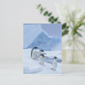 アデリーペンギン(ピゴスケリス・アデリア)は氷の上に落ちた。 ポストカード (スタンド正面)