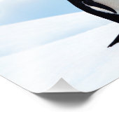 アデリーペンギン フォトプリント            (角)