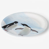 アデリーペンギン ペーパープレート (アングル)