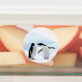 アデリーペンギン ラベル (貼付)