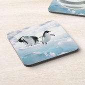 アデリーペンギン(pygoscelisのadeliae)南極大陸 コースター (左側)