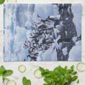 アデリーペンギン Pygoscelis adeliae キッチンタオル (折り畳み)