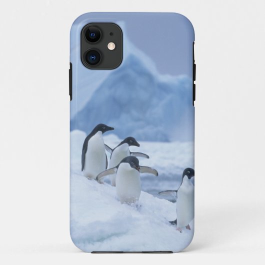 アデリーペンギン (Pygoscelis adeliae) 氷上、 Case-Mate iPhoneケース (裏面)