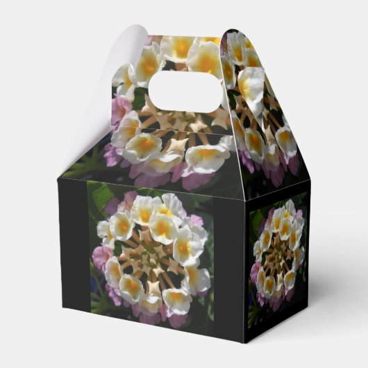 アデルアパート フェイバーボックス (正面サイド)