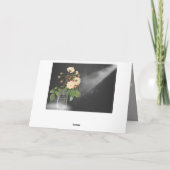 アデレードは黒に上がりました カード (裏面)