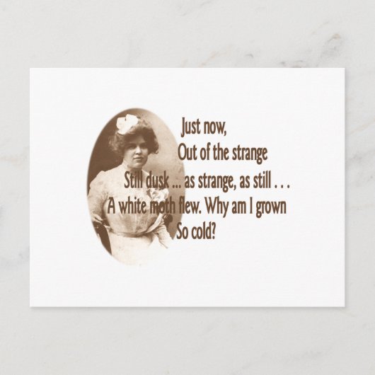 アデレードクラプ警告シー ポストカード (正面)