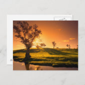 アデレードヒルズの農村風景 ポストカード (正面/裏面)